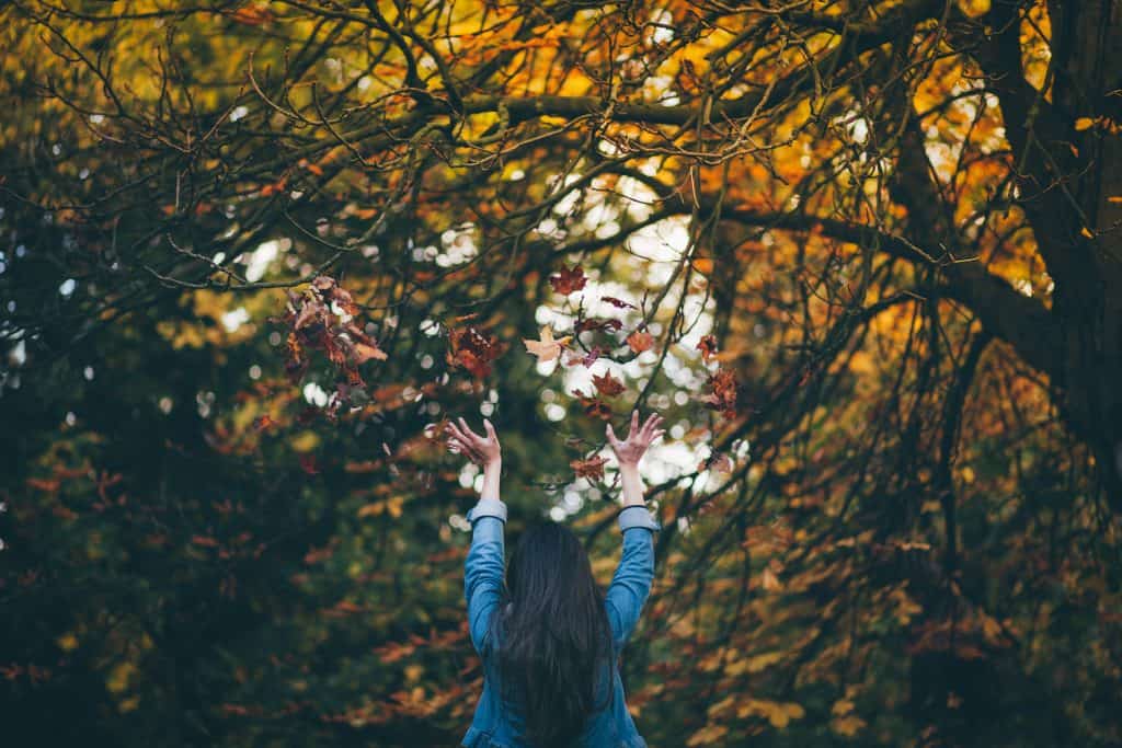5 Reasons why Walking in Autumn is Good for your body, mind, spirit and soul
