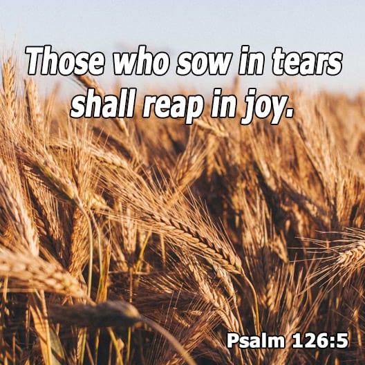 God-tracking is sowing in tears only to reap in joy.